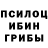 Галлюциногенные грибы Cubensis Victoria Scodorova