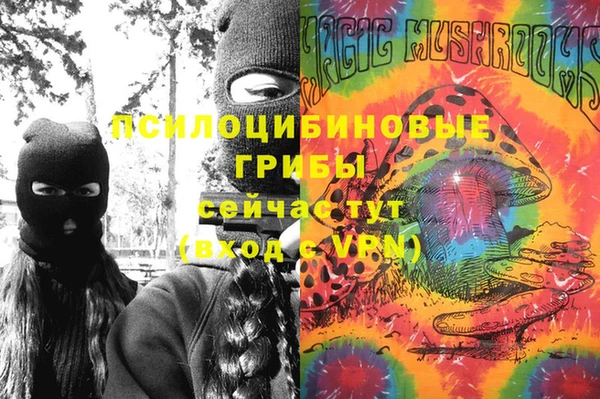 соль ск Богданович