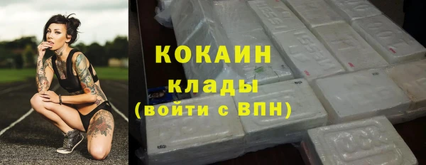 гашик Богородск