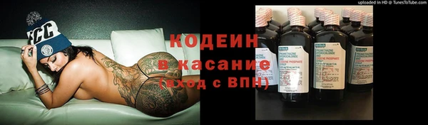 соль ск Богданович