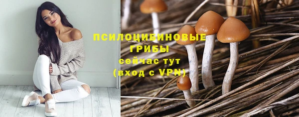 мяу мяу кристалл Бородино