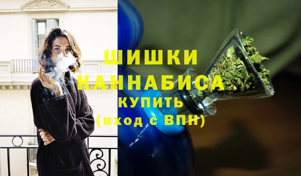 соль ск Богданович