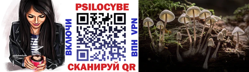 Галлюциногенные грибы Psilocybe как найти закладки Бахчисарай